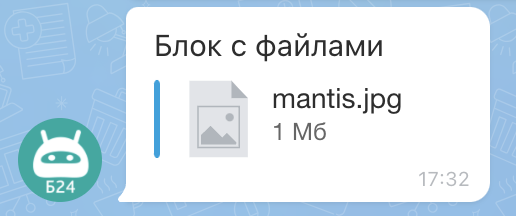 Блок с файлами