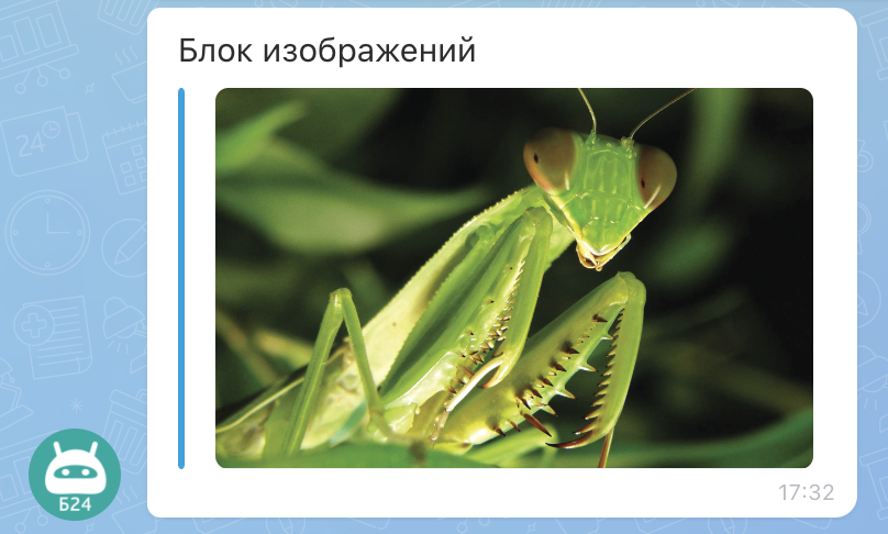 Блок с изображениями